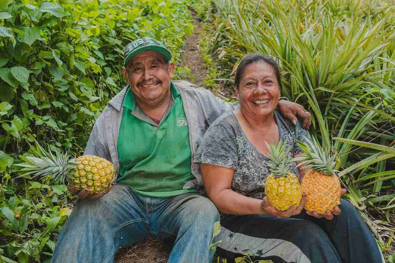 Regenerative Supply Chains: What Procurement and Sustainability Teams Should Look For
