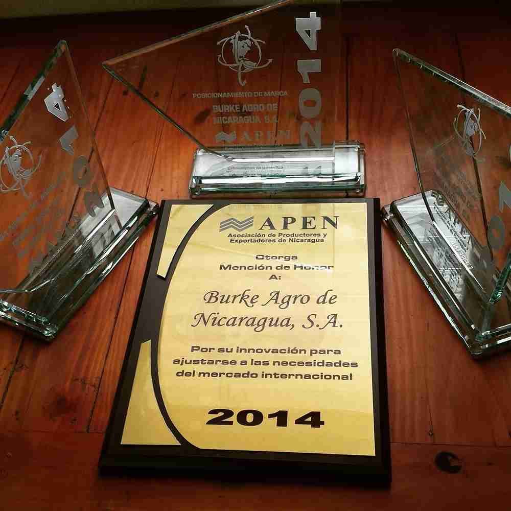 Recognizing Excellence: Awards and Honors