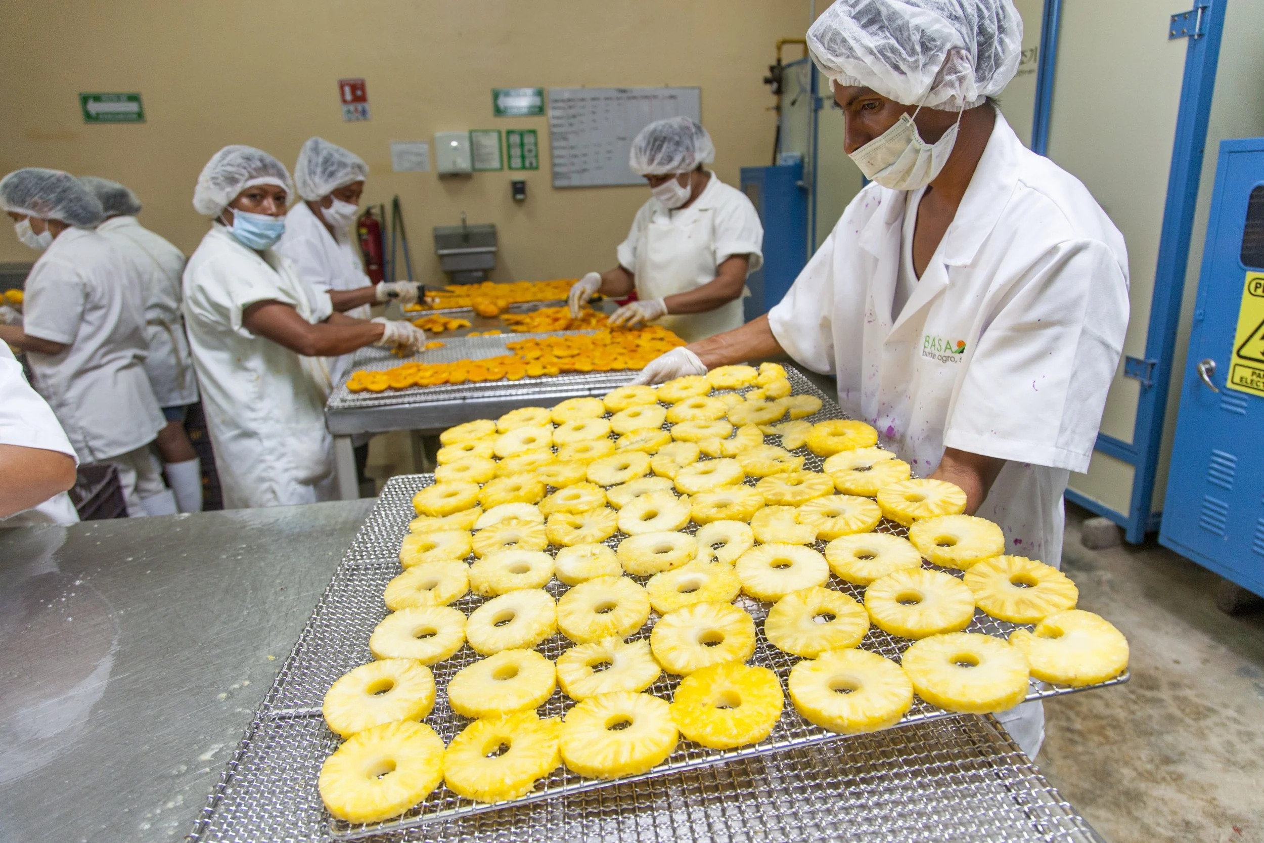 Organic tropical fruit harvest supporting regenerative ingredient supply chains