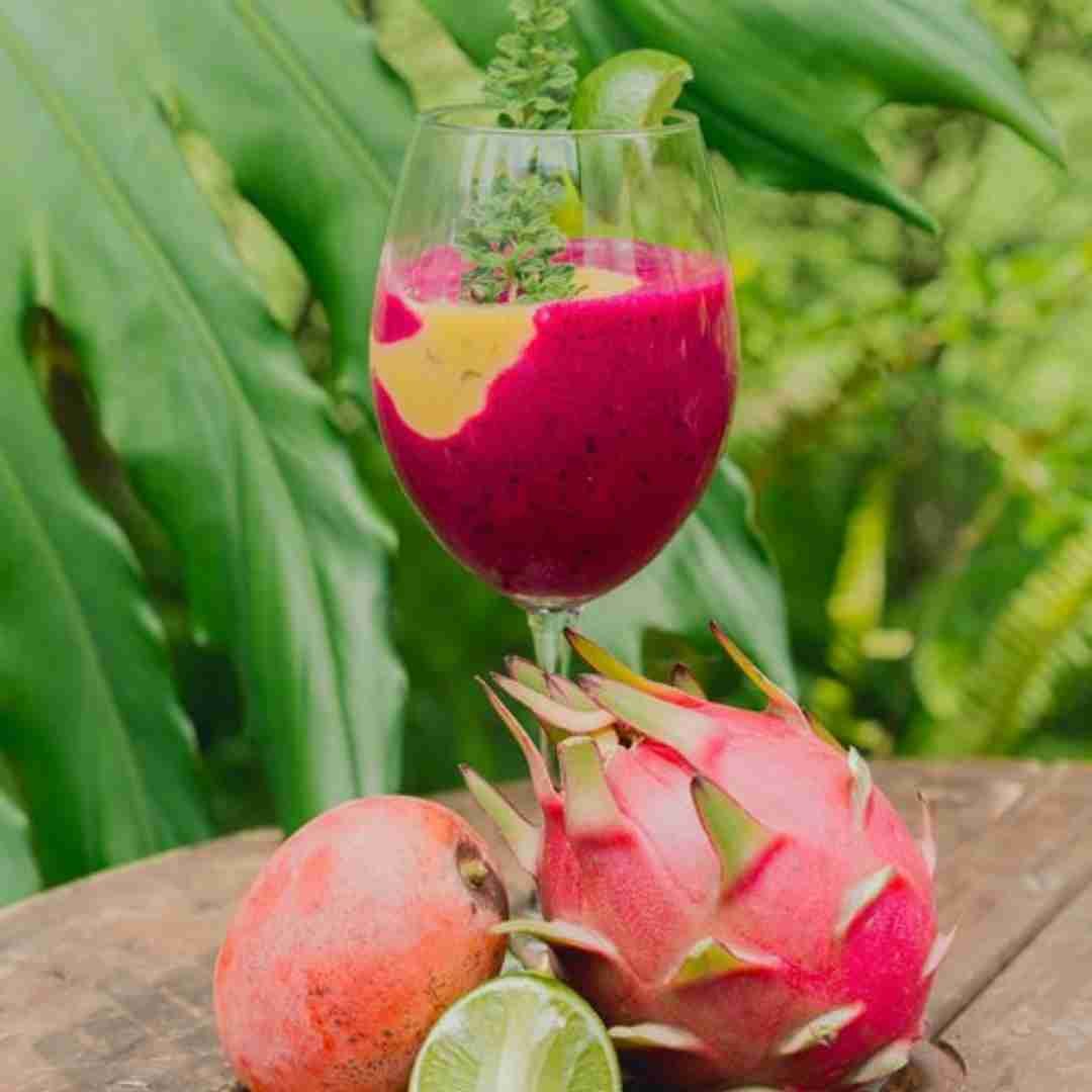 IQF dragon fruit and pitahaya crop image from Sol Organica