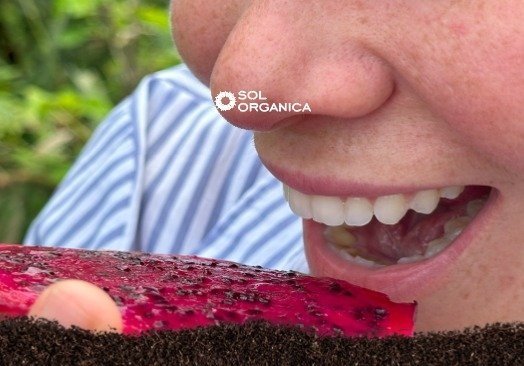 When the Rain Doesn’t Come: Building Resilience in Tropical Agriculture