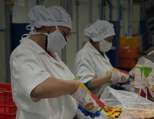 Can Regenerative Organic Fruit Thrive Without Building Better Supply Chains?